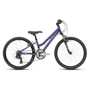 Ridgeback Destiny 24 Inch Wheel Purple 2021