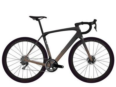 Trek Domane SL 5 Gen 4 Dark Star to Bronze Age Fade 