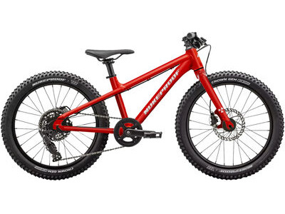 Nukeproof Tracker 20