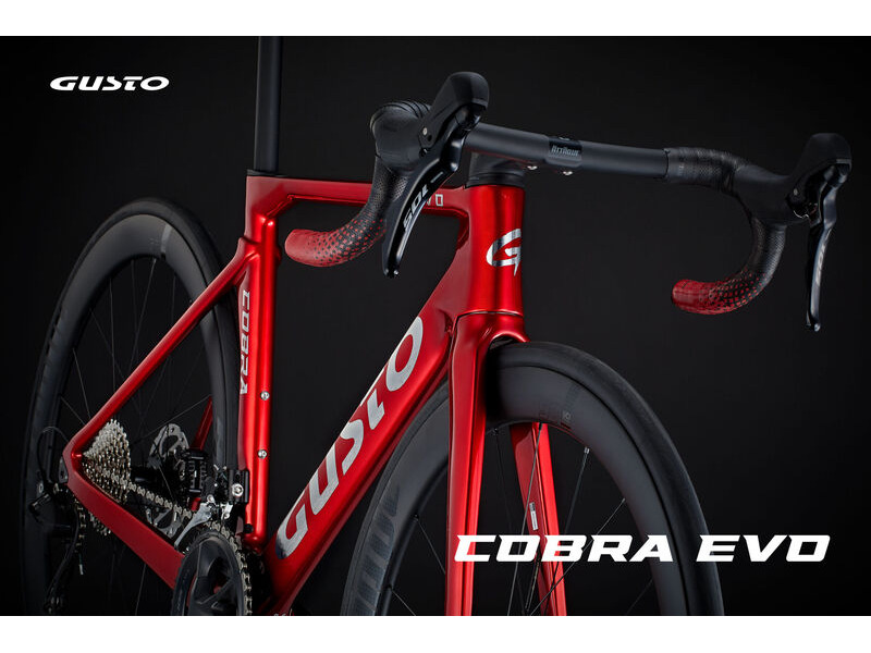 Gusto Cobra Evo DB Sport TE click to zoom image